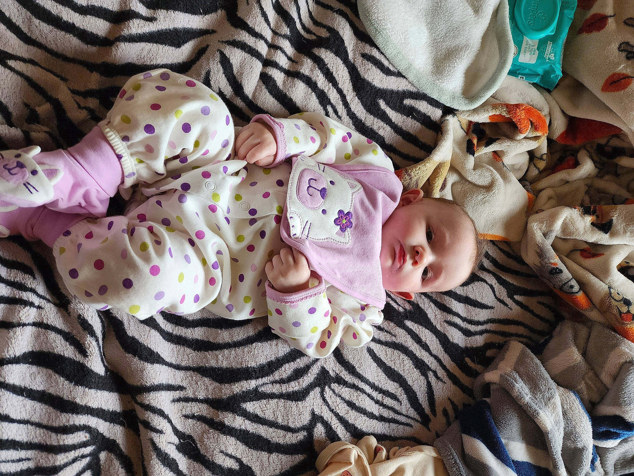 Summer is registered to the contest to win money with this photo: baby, baby_toddler_clothing, cheek, child, comfort, eye, face, head, linens, mammal, nap, pattern, person, room, sleep, sleeve, textile, toddler, tree, vertebrate