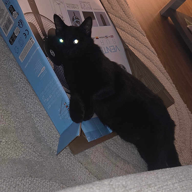 Blacky