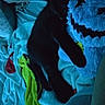 Blacky a rejoint le concours — aidez-le/la à gagner de superbes lots ! animal, bed, black_cat, blanket, blue_light, cat, comfort, cozy, cute, dark, furry, indoor, night, pet, plush_toy, relaxing, resting, sleeping, snuggle, soft_toys