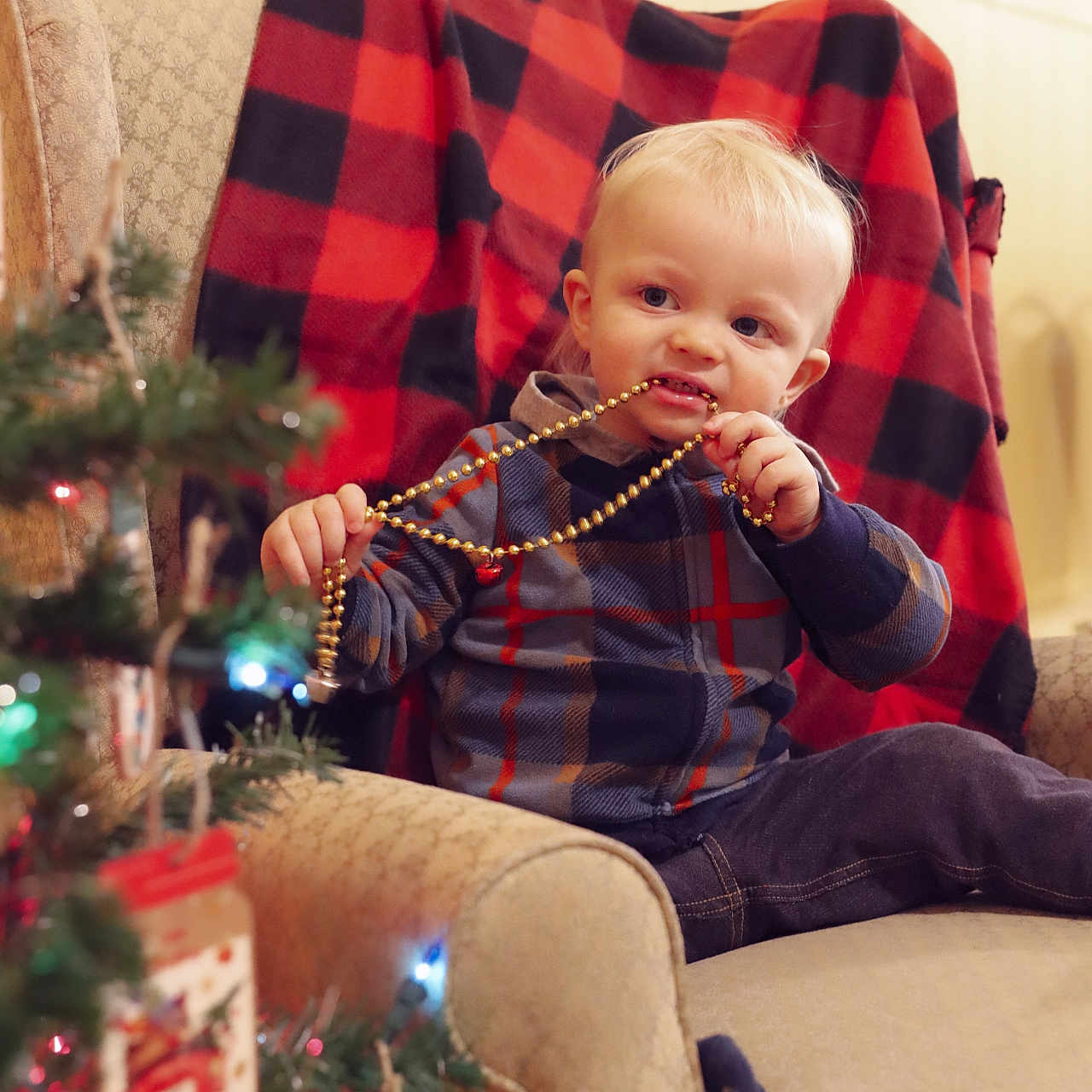 Jameson is registered to the contest to win money with this photo: accessories, architecture, armchair, baby, baseball, baseballglove, bead, beadnecklace, blanket, bodypart, bookcase, building, candy, chair, christmas, christmasdecorations, clothing, conifer, couch, cushion