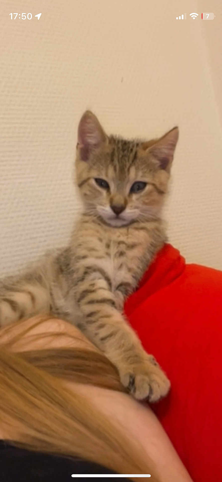 Zeuss