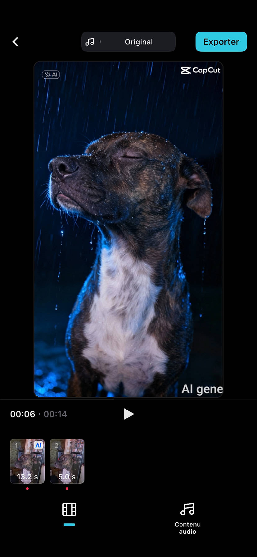 Tyson participe au concours pour gagner de l'argent avec cette photo : animal, blue_light, canine, close_up, dark_background, dog, face, fur, head, mammal, nature, outdoor, peaceful, pet, portrait, profile, rain, serene, water_droplets, wet