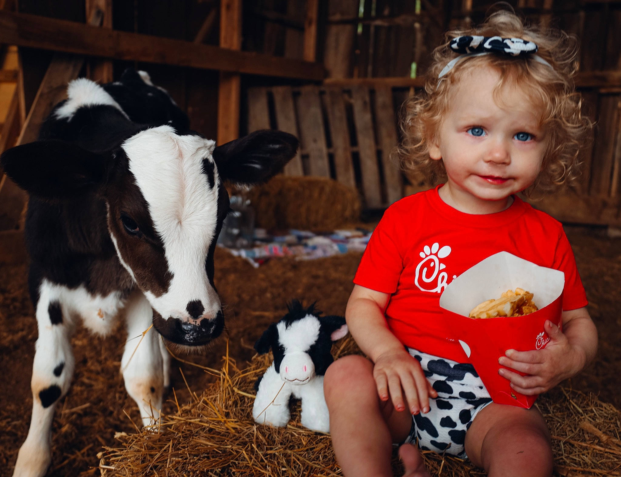 Madeline is registered to the contest to win money with this photo: baby_toddler_clothing, calf, dairy, dairy_cow, eye, fawn, fun, fur, grass, happy, holiday, human_leg, landscape, livestock, mammal, organ, person, sitting, terrestrial_animal, thigh