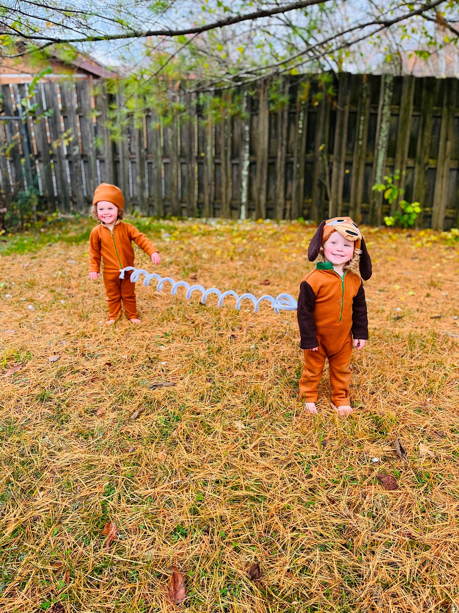 Coraline is registered to the contest to win money with this photo: agriculture, fence, field, fun, grass, grassland, groundcover, headwear, joy, landscape, leaf, leisure, natural_landscape, people_in_nature, person, plant, plantation, pumpkin, sky, soil