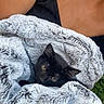 Bagheera a rejoint le concours — aidez-le/la à gagner de superbes lots ! kitten, black_cat, blanket, cozy, fur, pet, animal, cute, snuggled, resting, person, arm, clothing, black_top, outdoor, greenery, soft_texture, relaxation, comfort, young_cat