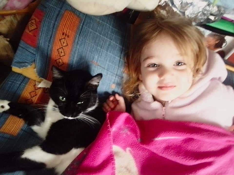 Gribouille a rejoint le concours — aidez-le/la à gagner de superbes lots ! carnivore, cat, comfort, domestic_short_haired_cat, event, felidae, fur, happy, lap, linens, magenta, mammal, pattern, sitting, sleeve, small_to_medium_sized_cats, smile, toddler, vertebrate, whiskers