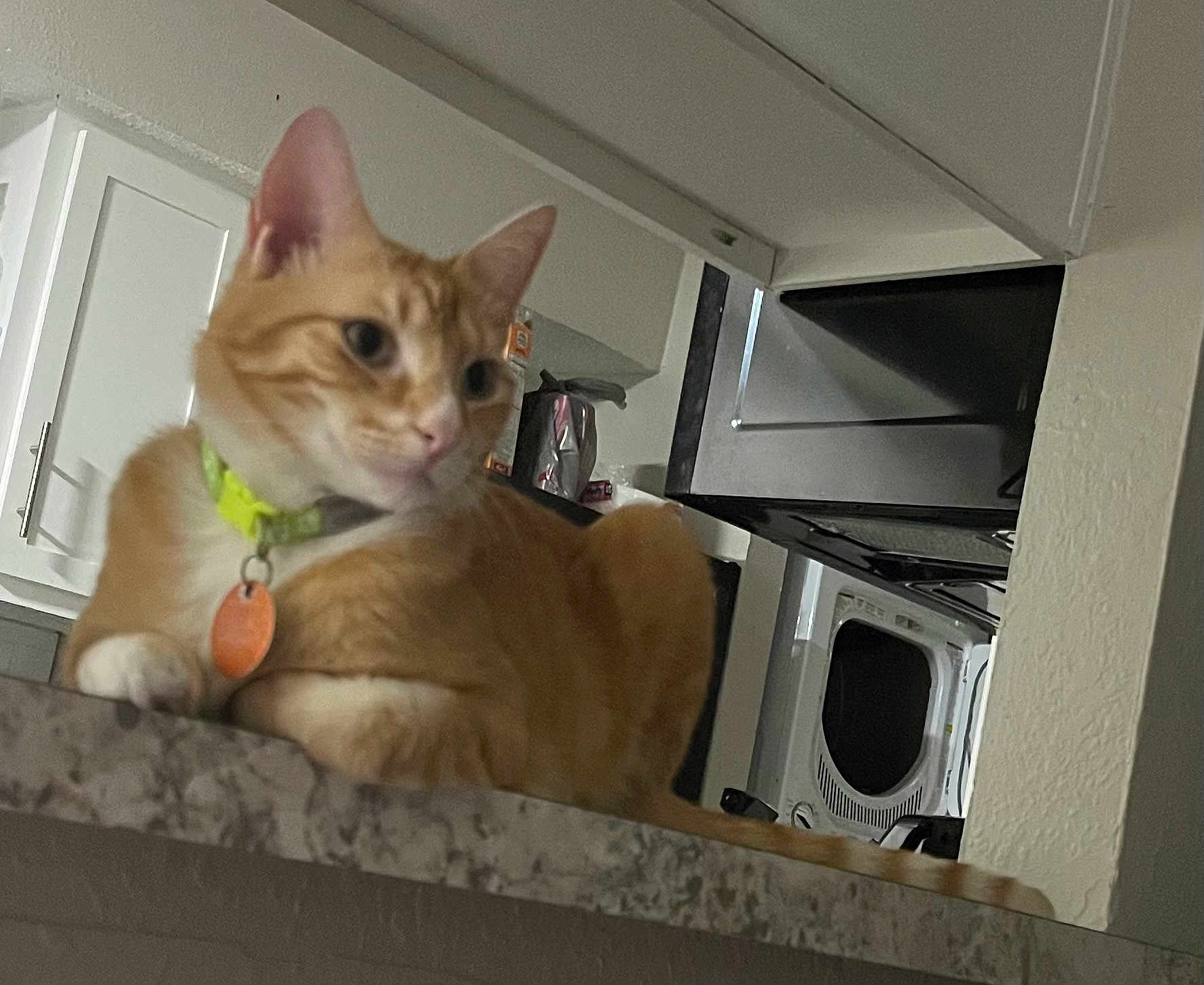 Canelo