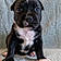 Ares