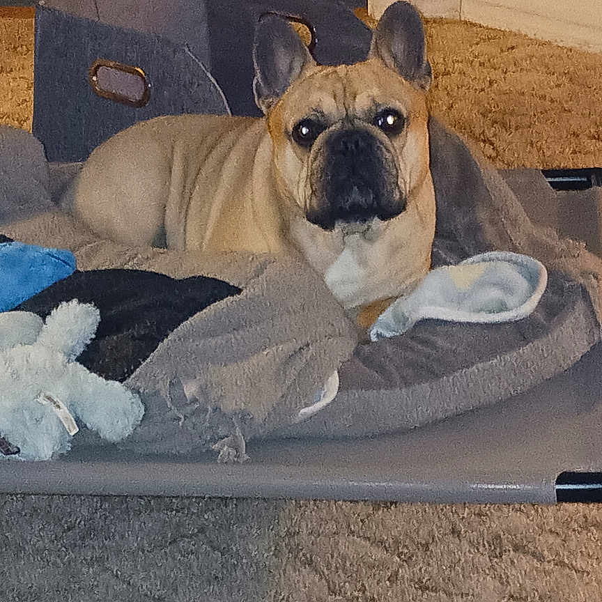Roscoe