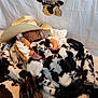 baby, basket, blanket, cow_print, cowboy_boots, cowboy_hat, cozy, cute, fabric, footwear, infant, name_sign, newborn, nursery, plush, portrait, rest, sleeping, soft, wooden_plaque