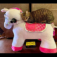 Freja joined the competition — help win amazing prizes! cat, tabby, plush_toy, toy_horse, pink, white, indoor, feline, pet, animal, resting, couch, floor, cozy, soft, stuffed_animal, relaxed, striped, cute, household