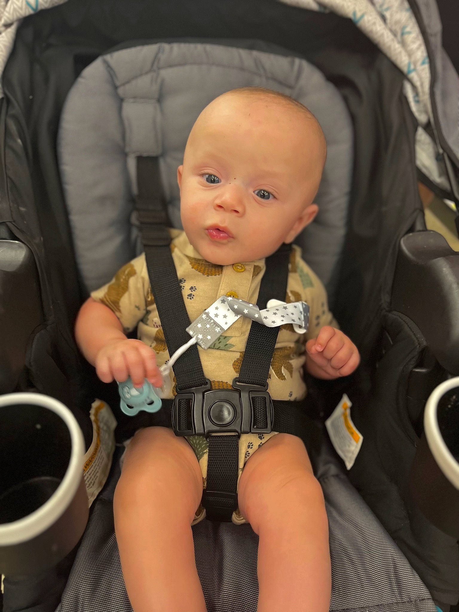 Kingston is registered to the contest to win money with this photo: auto_part, baby, baby_carriage, baby_products, car_seat, cheek, child, comfort, eye, human_leg, lap, nail, person, personal_protective_equipment, seat_belt, sitting, skin, steering_wheel, strap, thigh