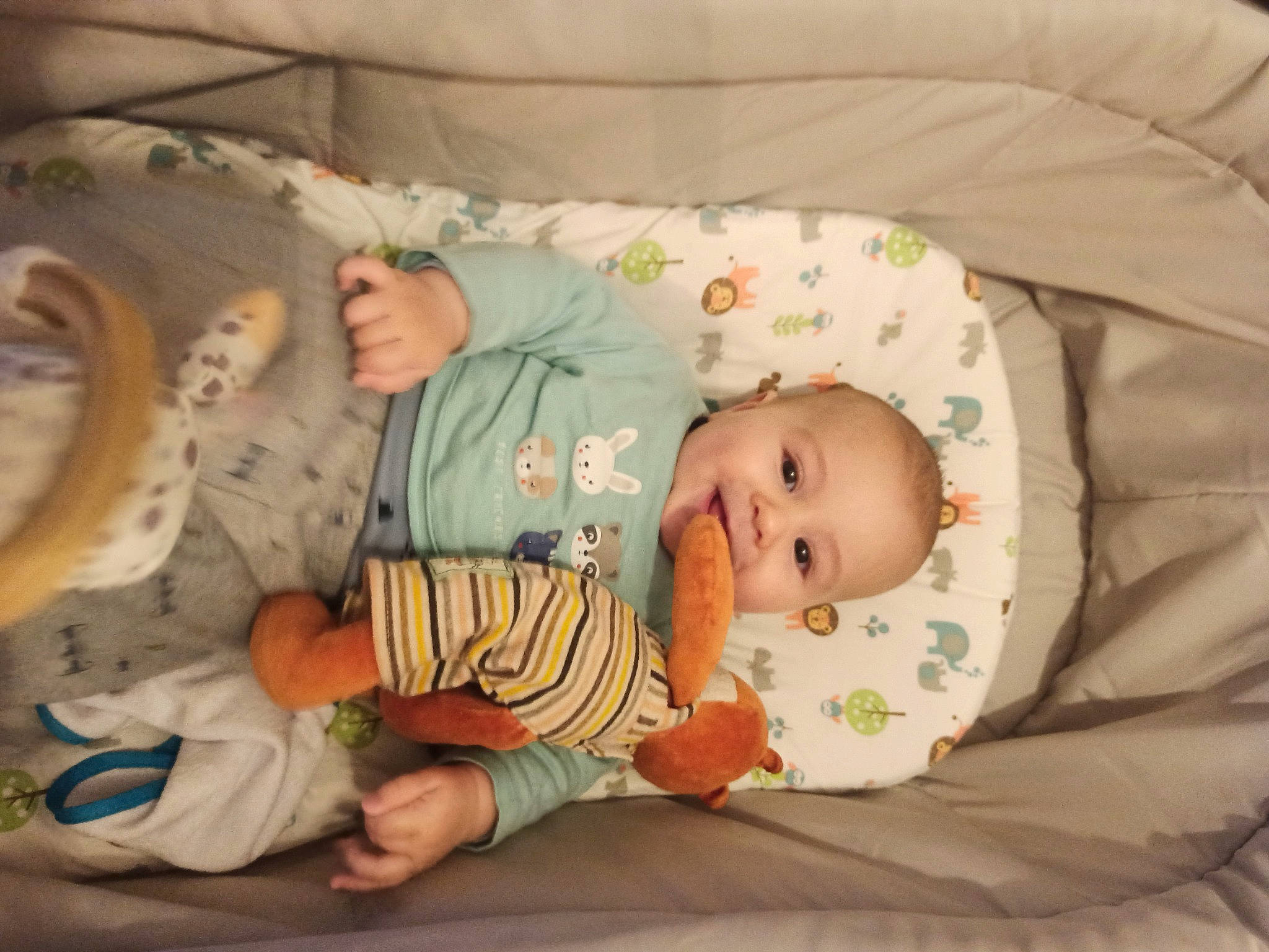 Sacha participe au concours pour gagner de l'argent avec cette photo : baby, baby_products, baby_toddler_clothing, cheek, child, comfort, eye, head, linens, mammal, person, product, python, reptile, room, skin, sleeve, snake, textile, toddler