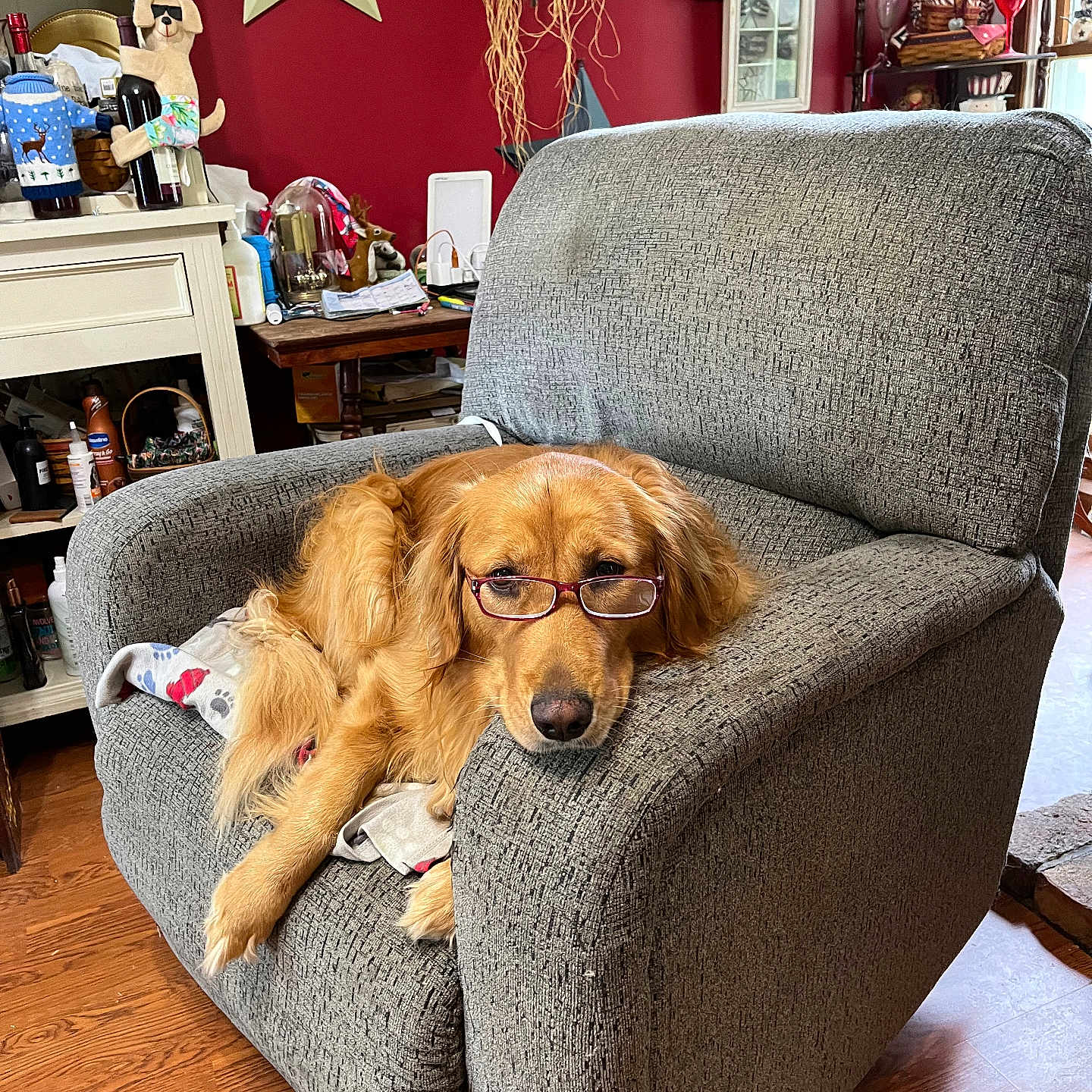 Lily Lou