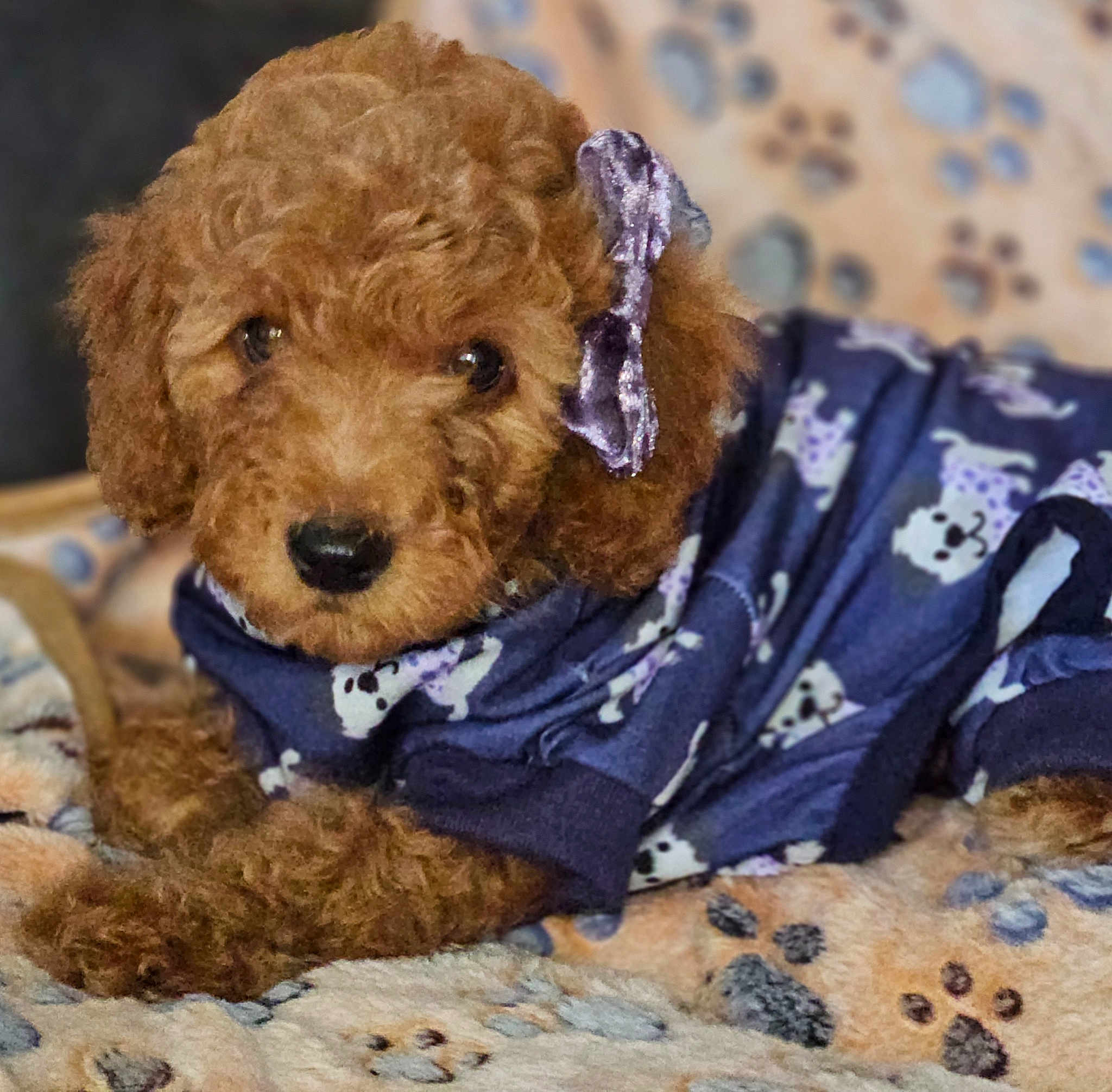 Sadie Mae