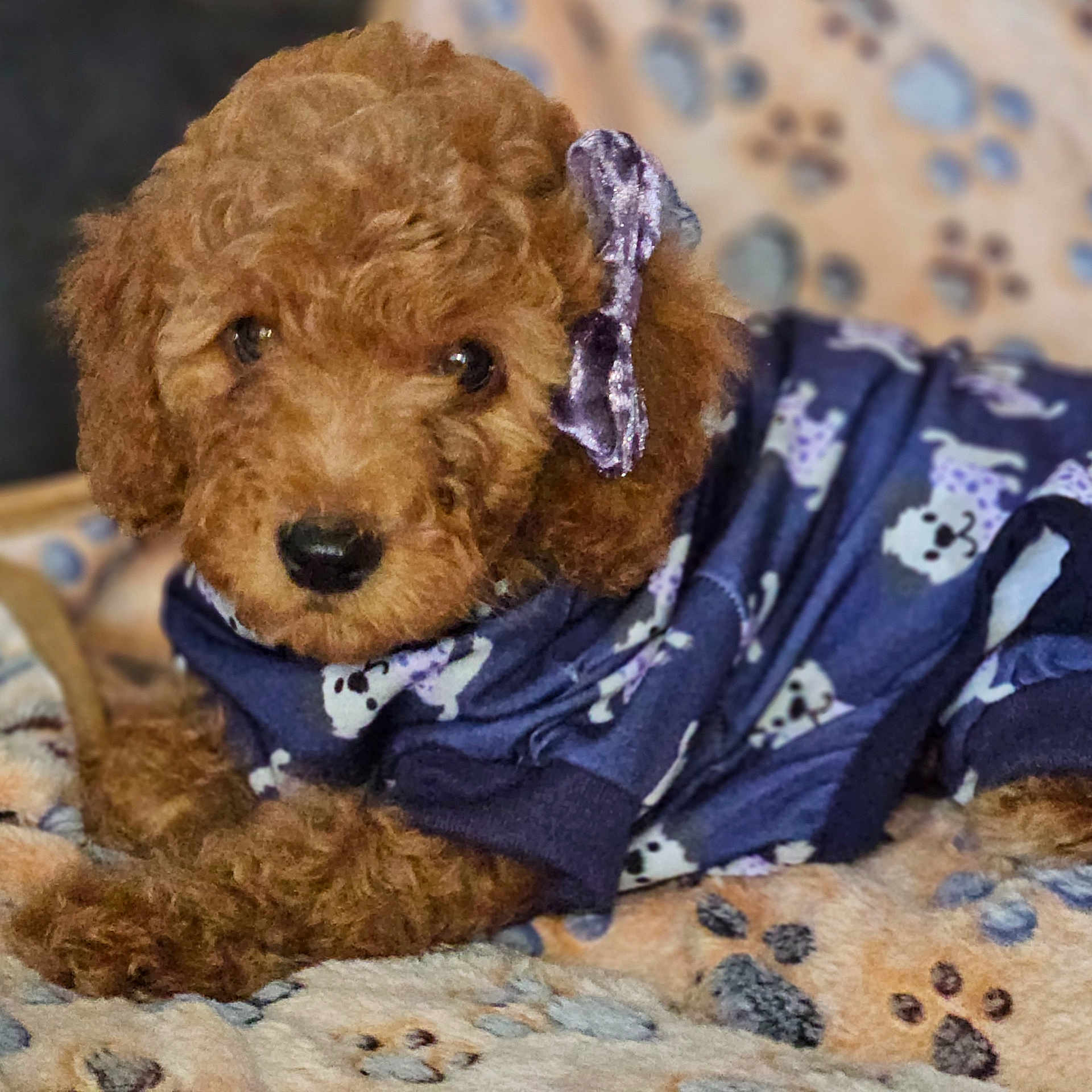 Sadie Mae