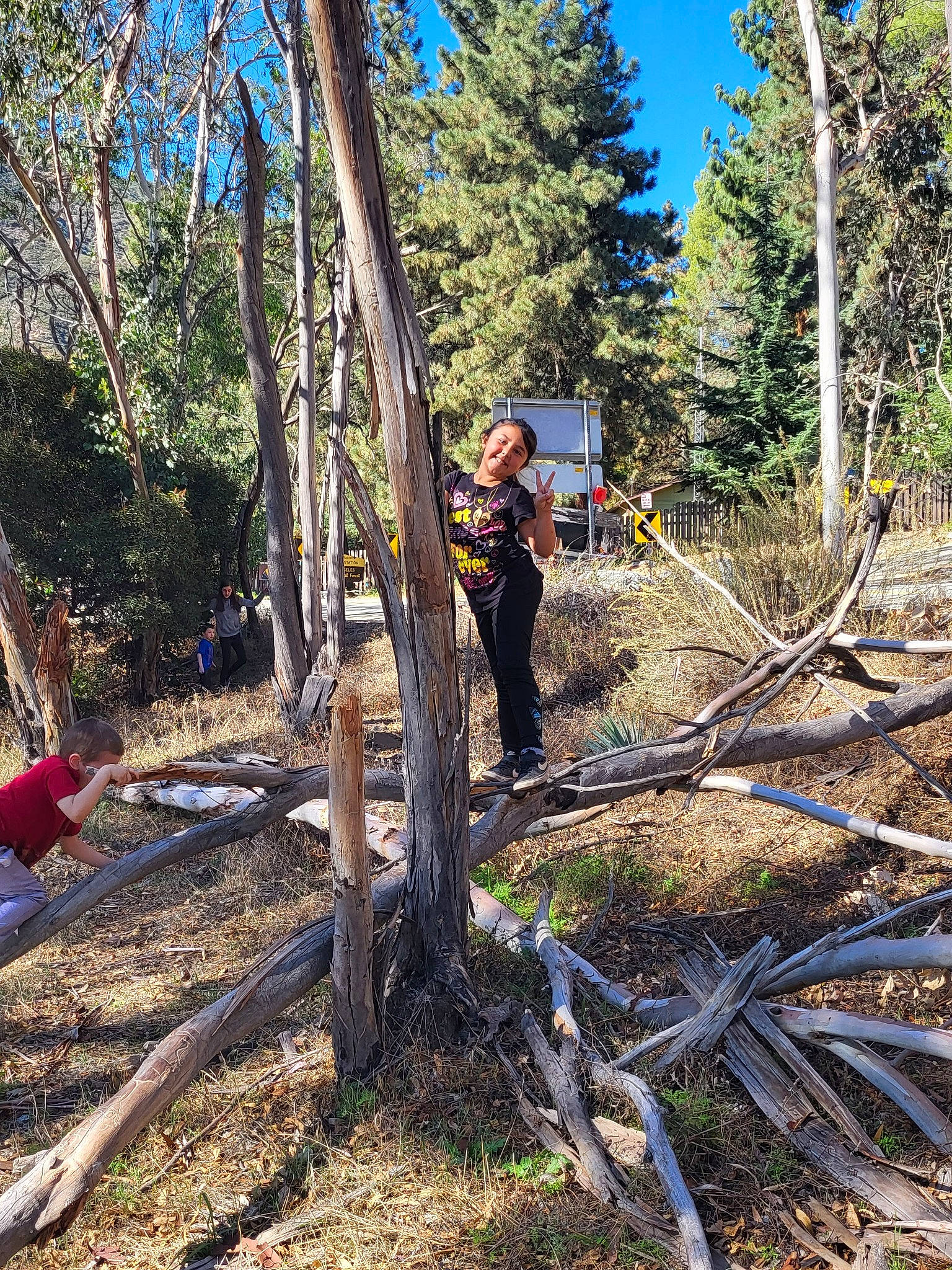 Alyssa Valdez joined the competition — help win amazing prizes! biome, branch, forest, grass, grove, headwear, joy, logging, nature_reserve, person, plant, plant_community, recreation, sky, soil, temperate_broadleaf_and_mixed_forest, tree, trunk, twig, vegetation