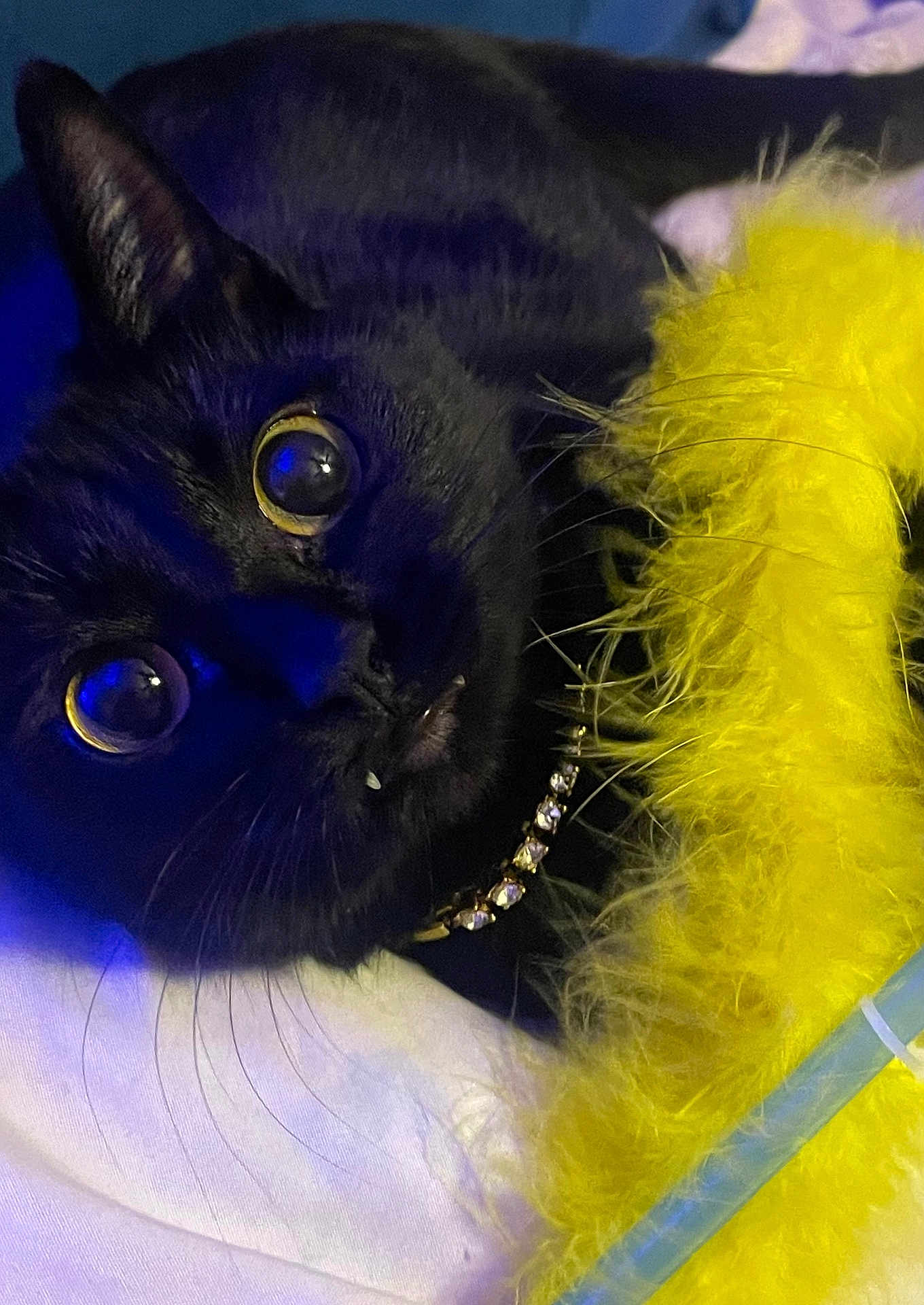Luna