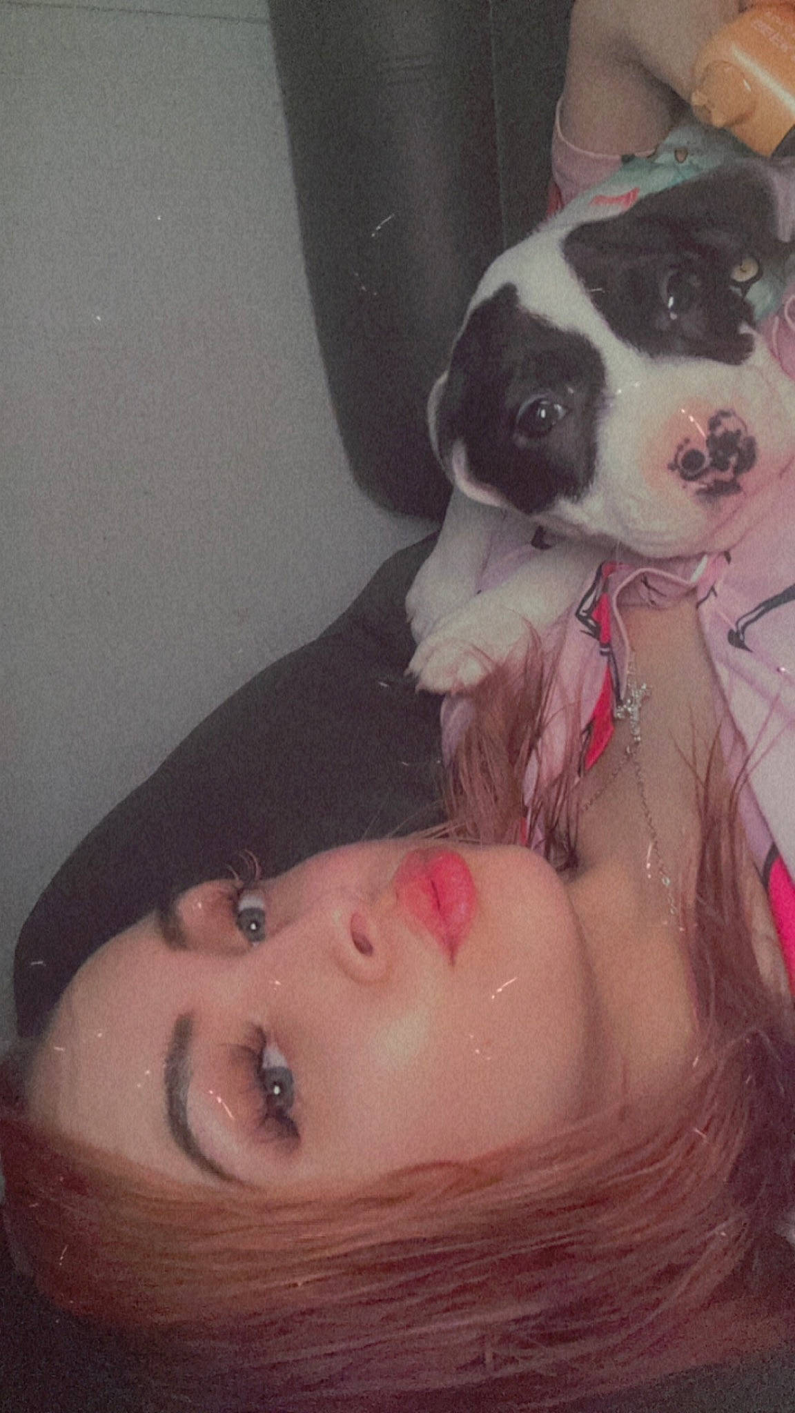 Molly is registered to the contest to win money with this photo: brown_hair, carnivore, chest, comfort, companion_dog, dog, dog_breed, ear, eyelash, fawn, flesh, fur, happy, jaw, long_hair, mouth, nose, selfie, throat, whiskers