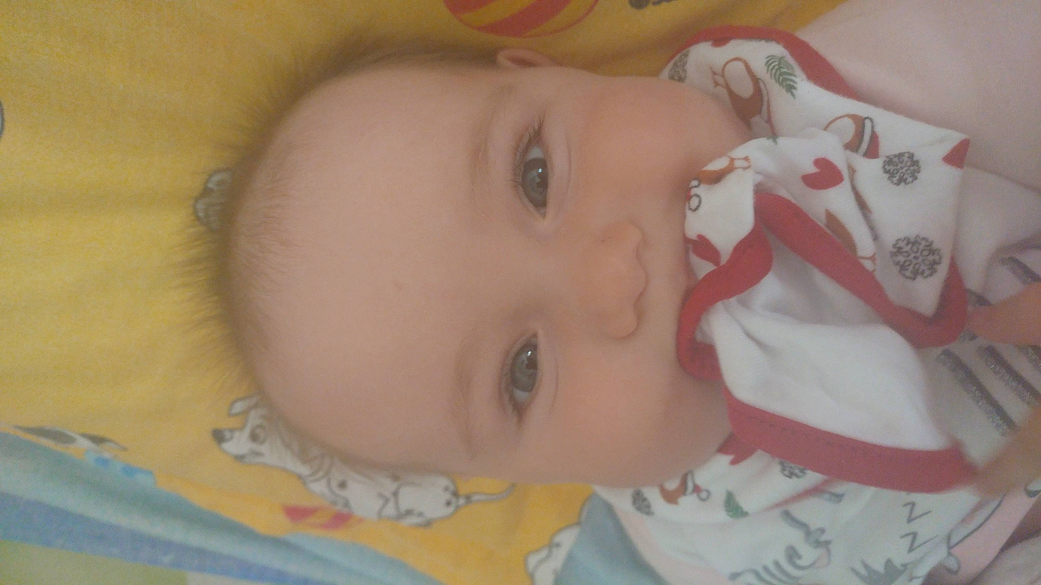 Elena participe au concours pour gagner de l'argent avec cette photo : baby, baby_toddler_clothing, carmine, cheek, child, chin, eye, eyebrow, eyelash, forehead, head, human_body, iris, lip, mouth, neck, nose, person, skin, textile