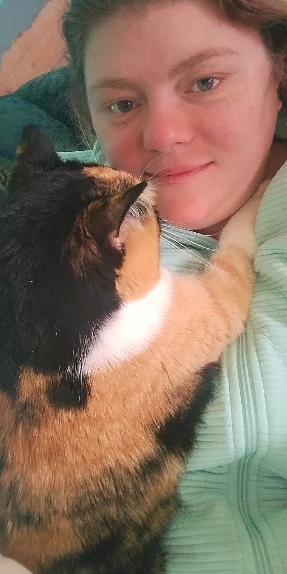 Little Girl joined the competition — help win amazing prizes! beard, carnivore, cat, ear, eye, eyelash, facial_hair, fawn, felidae, formal_wear, fur, gesture, happy, jaw, nose, skin, small_to_medium_sized_cats, smile, snout, whiskers