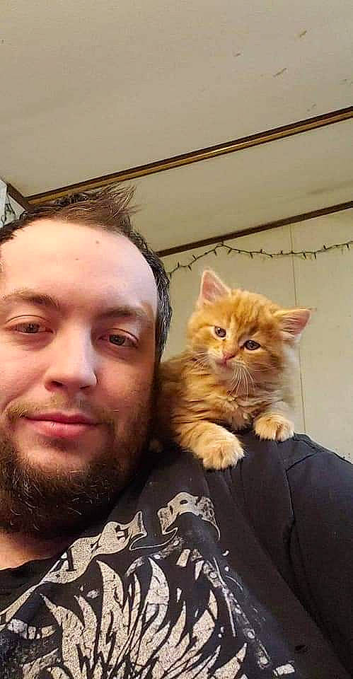 Majin joined the competition — help win amazing prizes! asian, beard, carnivore, cat, domestic_short_haired_cat, ear, european_shorthair, eye, facial_hair, fawn, felidae, fur, hair, nose, photography, selfie, small_to_medium_sized_cats, tabby_cat, whiskers