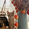 kitten, cat, ginger_cat, wooden_table, basket, woven_basket, dried_flowers, metal_pitcher, indoor, cozy, curious, pet, small_animal, decor, still_life, furniture, natural_light, home, cute, animal
