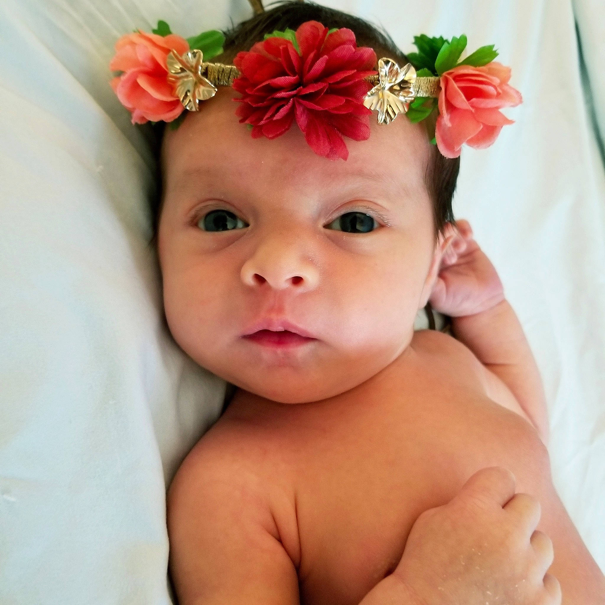 Alora is registered to the contest to win money with this photo: baby, baby_sleeping, cheek, child, child_model, face, fashion_accessory, flower, hair_accessory, head, headband, headgear, headpiece, headwear, lip, person, petal, photography, pink, plant