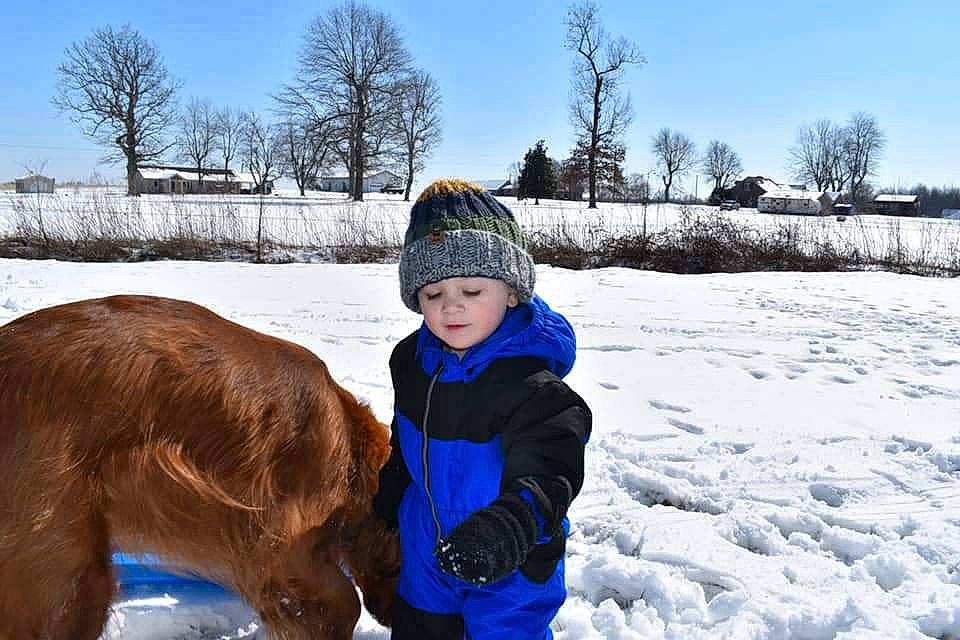 Gavin joined the competition — help win amazing prizes! beanie, dog_breed, electric_blue, freezing, fun, fur, grass, headwear, hoodie, ice_cap, leisure, parka, person, plant, playing_in_the_snow, recreation, sky, snow, toddler, tree