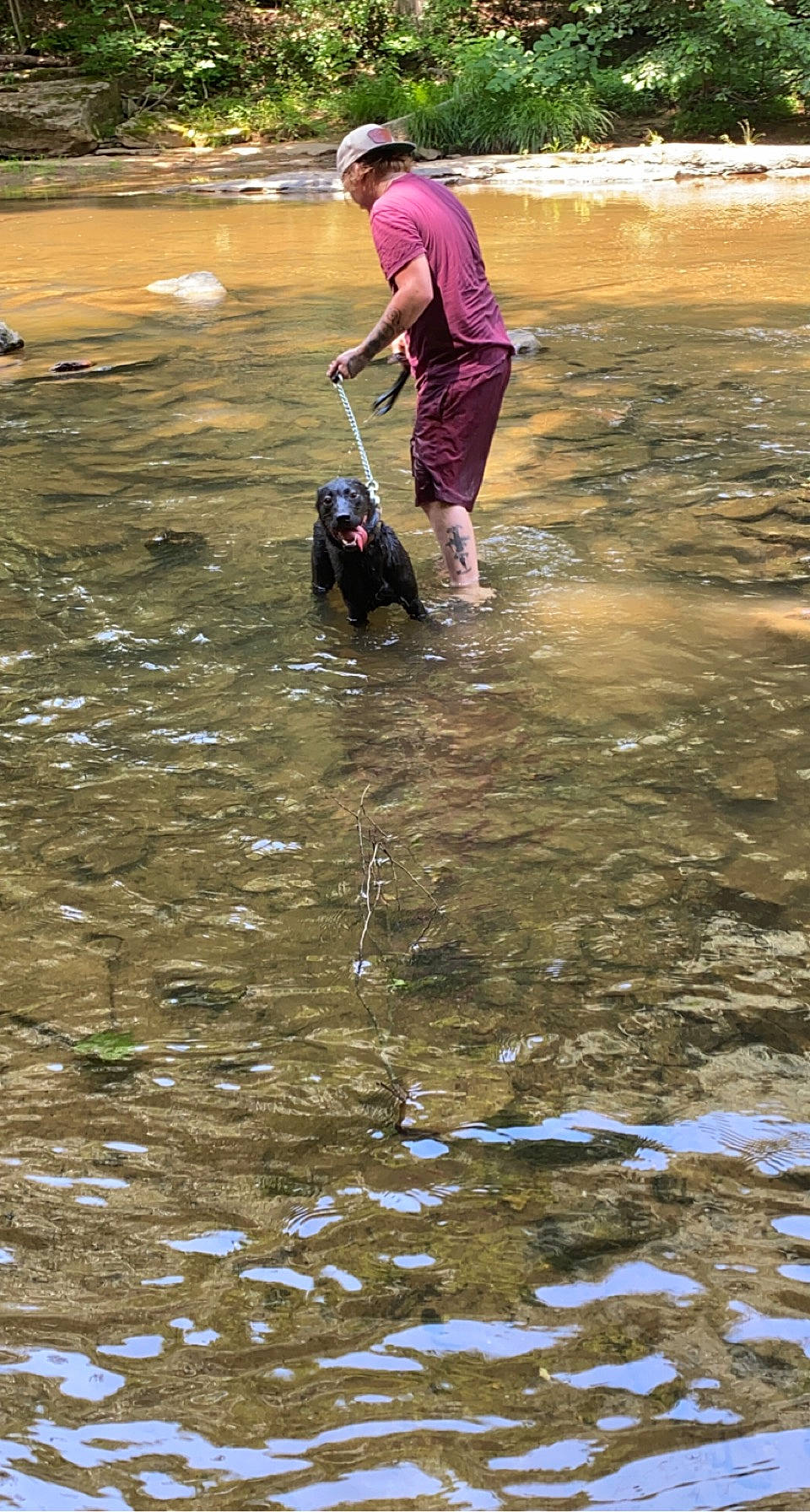 Dax joined the competition — help win amazing prizes! backpack, beach, boats_and_boating_equipment_and_supplies, body_of_water, coast, fun, hat, lake, leisure, mud, ocean, personal_protective_equipment, recreation, sand, shore, soil, t_shirt, water, wind_wave, working_animal