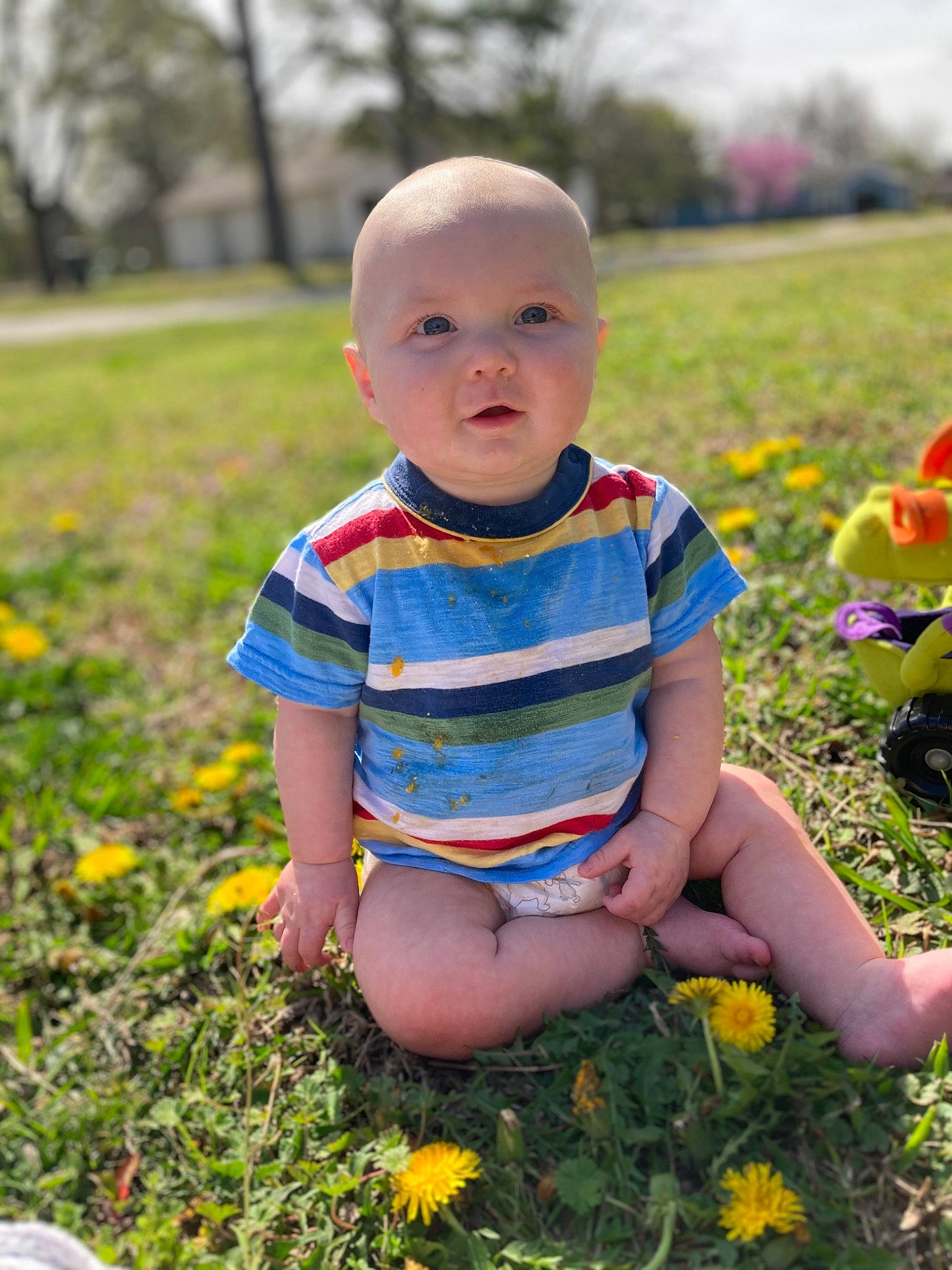 Elon is registered to the contest to win money with this photo: baby, baby_toddler_clothing, botany, eye, face, flower, grass, happy, head, iris, leaf, nature, people_in_nature, person, plant, skin, summer, sunlight, toddler, tree