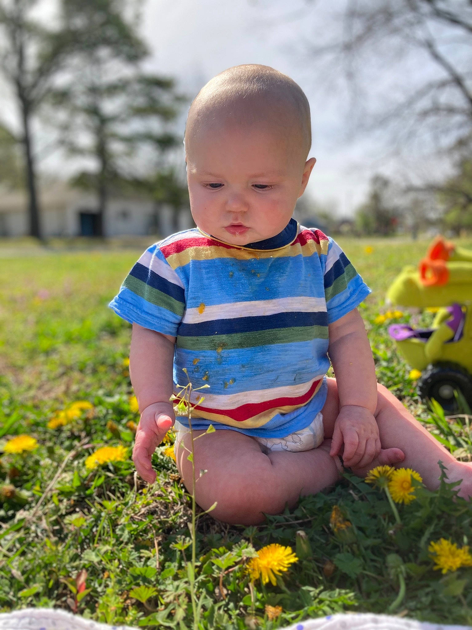 Elon is registered to the contest to win money with this photo: baby_toddler_clothing, dress, face, flower, grass, happy, iris, leaf, nature, people_in_nature, person, photograph, plant, sky, summer, sunlight, tire, toddler, tree, wheel