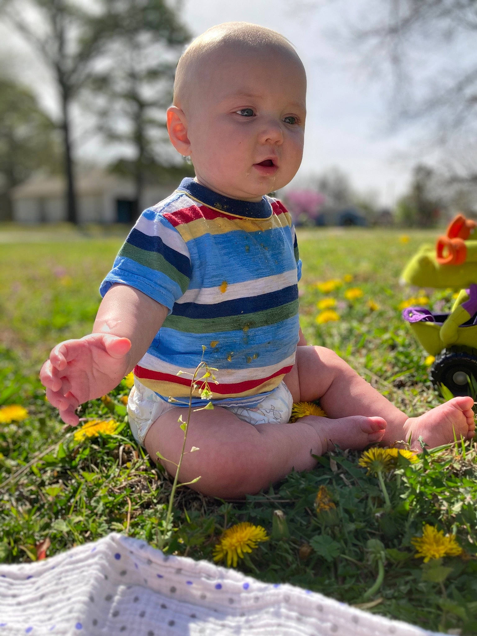 Elon is registered to the contest to win money with this photo: baby, baby_toddler_clothing, botany, child, dress, flower, grass, happy, iris, leaf, meadow, people_in_nature, person, photograph, plant, skin, sky, sunlight, toddler, tree