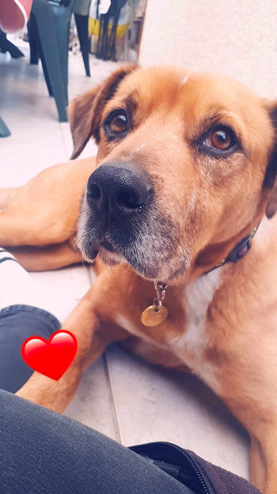 Tyson