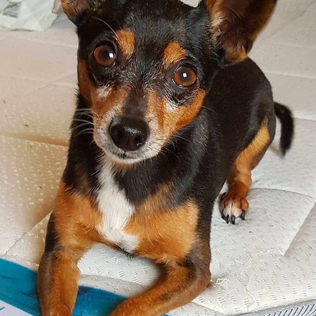 Kiki