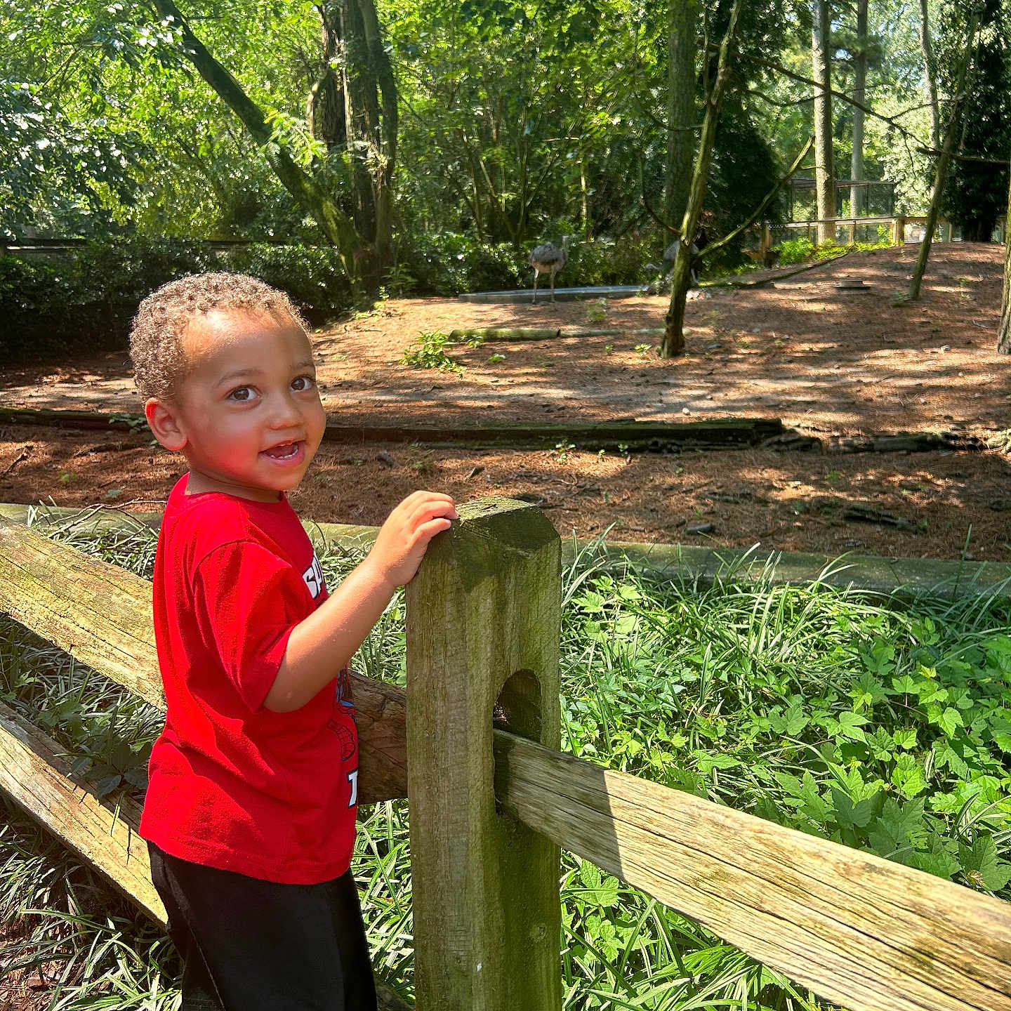Jonathan is registered to the contest to win money with this photo: face, grass, grove, head, herbal, herbs, land, nature, outdoors, park, path, person, photography, plant, portrait, soil, tree, vegetation, wood, woodland