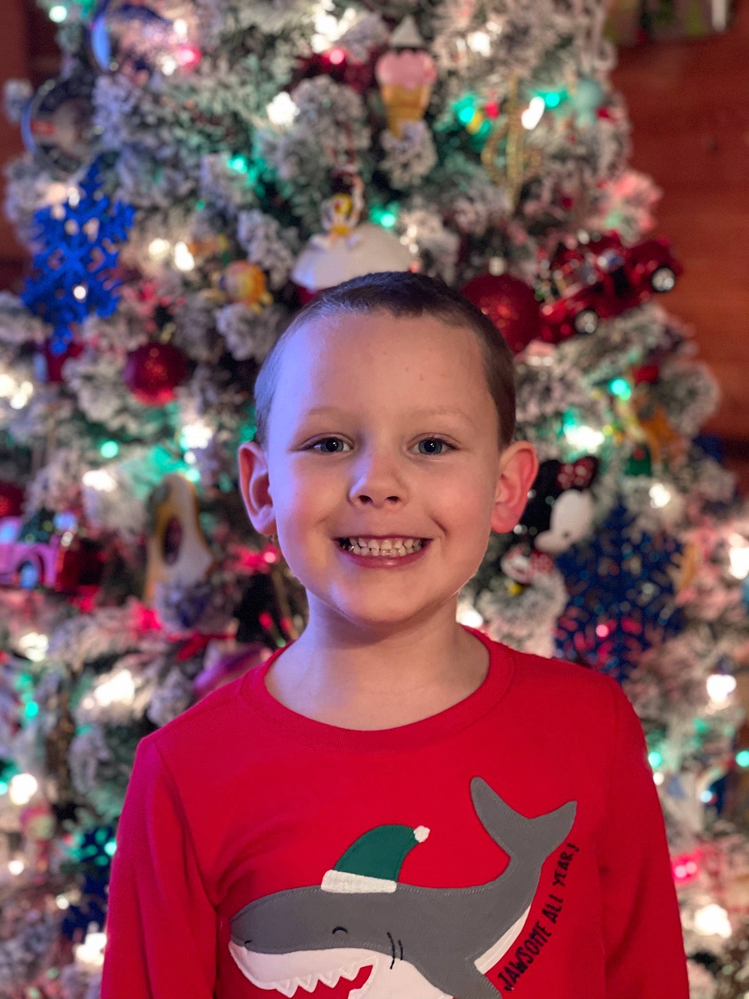 Hayden joined the competition — help win amazing prizes! christmas_decoration, christmas_ornament, christmas_tree, green, happy, holiday_ornament, human_body, joy, lighting, organ, ornament, outerwear, people, person, photograph, plant, red, smile, standing, toddler
