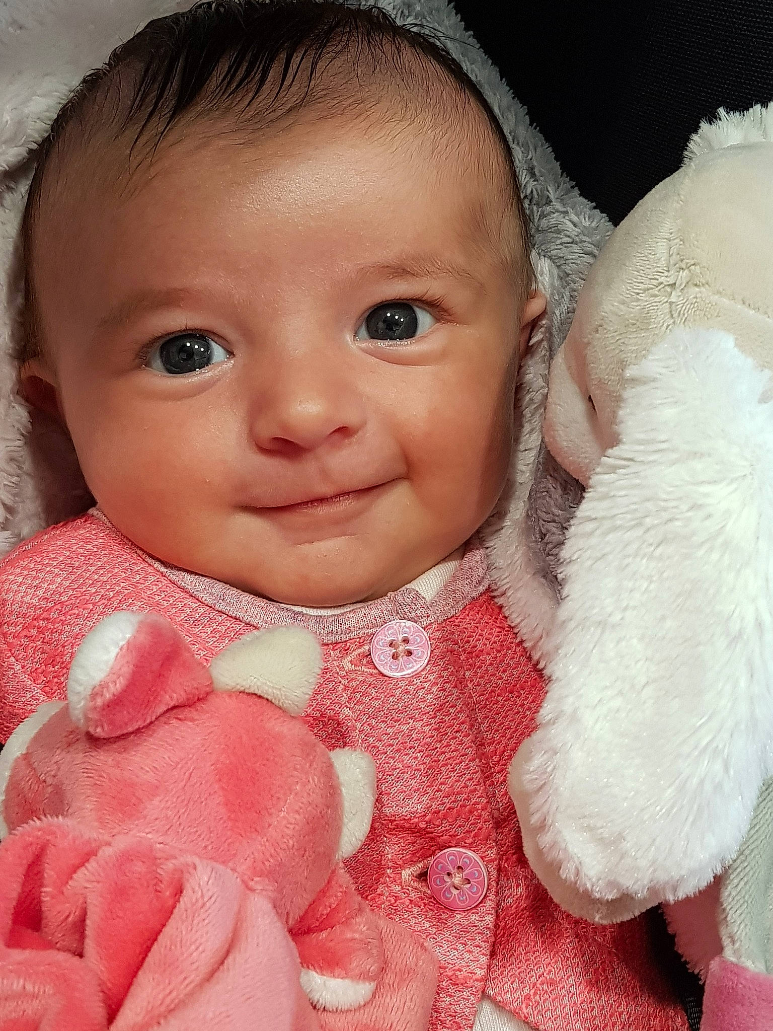 Lilas participe au concours pour gagner de l'argent avec cette photo : baby, cheek, child, eye, face, fur, head, iris, joy, lip, mouth, nose, person, pink, skin, smile, textile, toddler