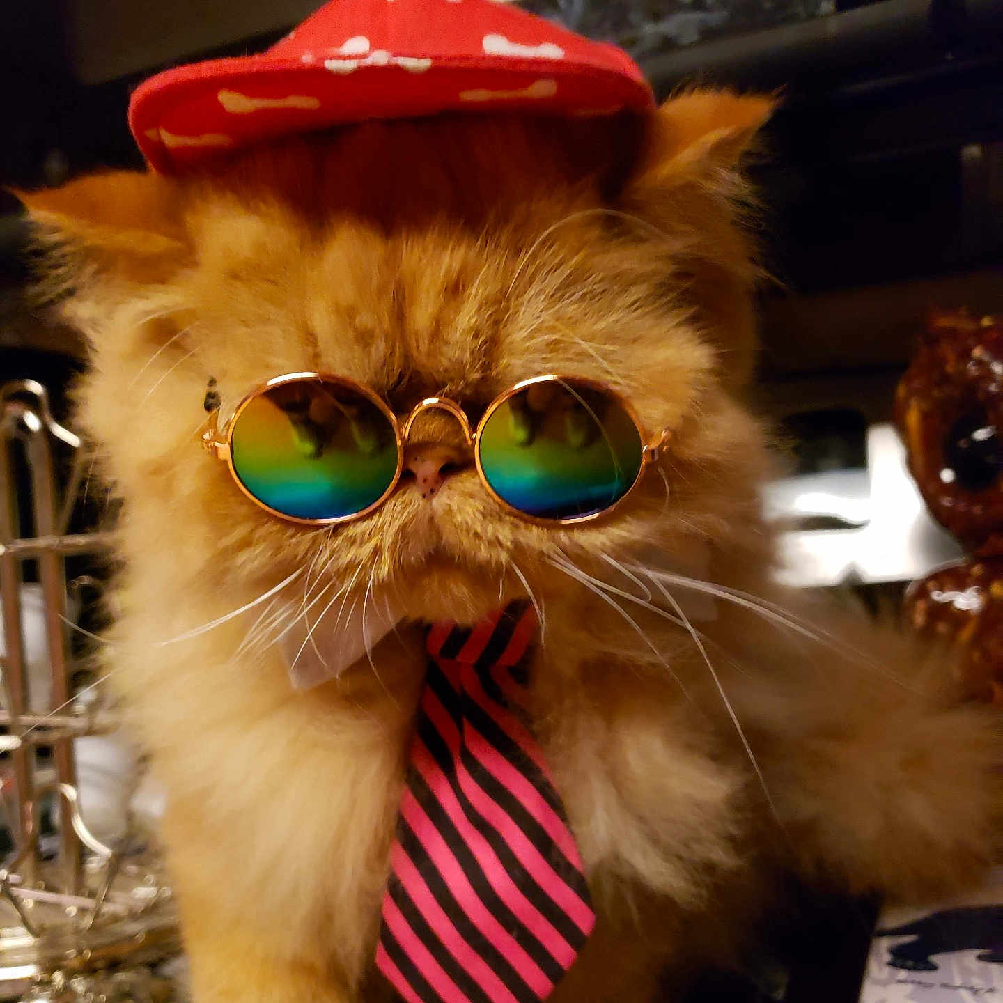 Charlie joined the competition — help win amazing prizes! accessory, animal, cat, closeup, costume, cute, domestic_cat, fashion, feline, fluffy, funny, glasses, hat, indoor, orange_cat, pet, portrait, sunglasses, tie, whiskers