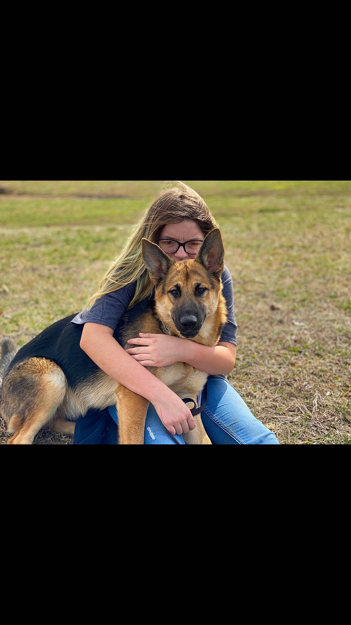 Josie is registered to the contest to win money with this photo: beauty, canidae, carnivore, companion_dog, dog, dog_breed, eye, fawn, fun, german_shepherd_dog, grass, mammal, old_german_shepherd_dog, photography, police_dog, sitting, snout, sunlight, vertebrate, working_dog