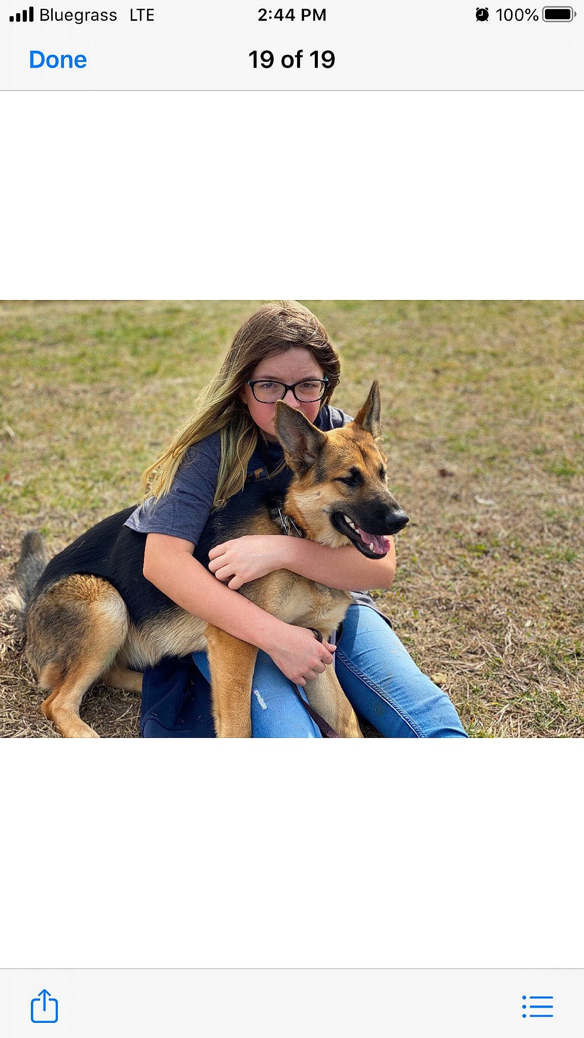 Josie joined the competition — help win amazing prizes! belgian_shepherd, belgian_shepherd_malinois, canidae, carnivore, companion_dog, dog, dog_breed, east_european_shepherd, german_shepherd_dog, king_shepherd, kunming_wolfdog, mammal, old_german_shepherd_dog, photograph, police_dog, rare_breed_dog, shiloh_shepherd_dog, sitting, vertebrate, working_dog