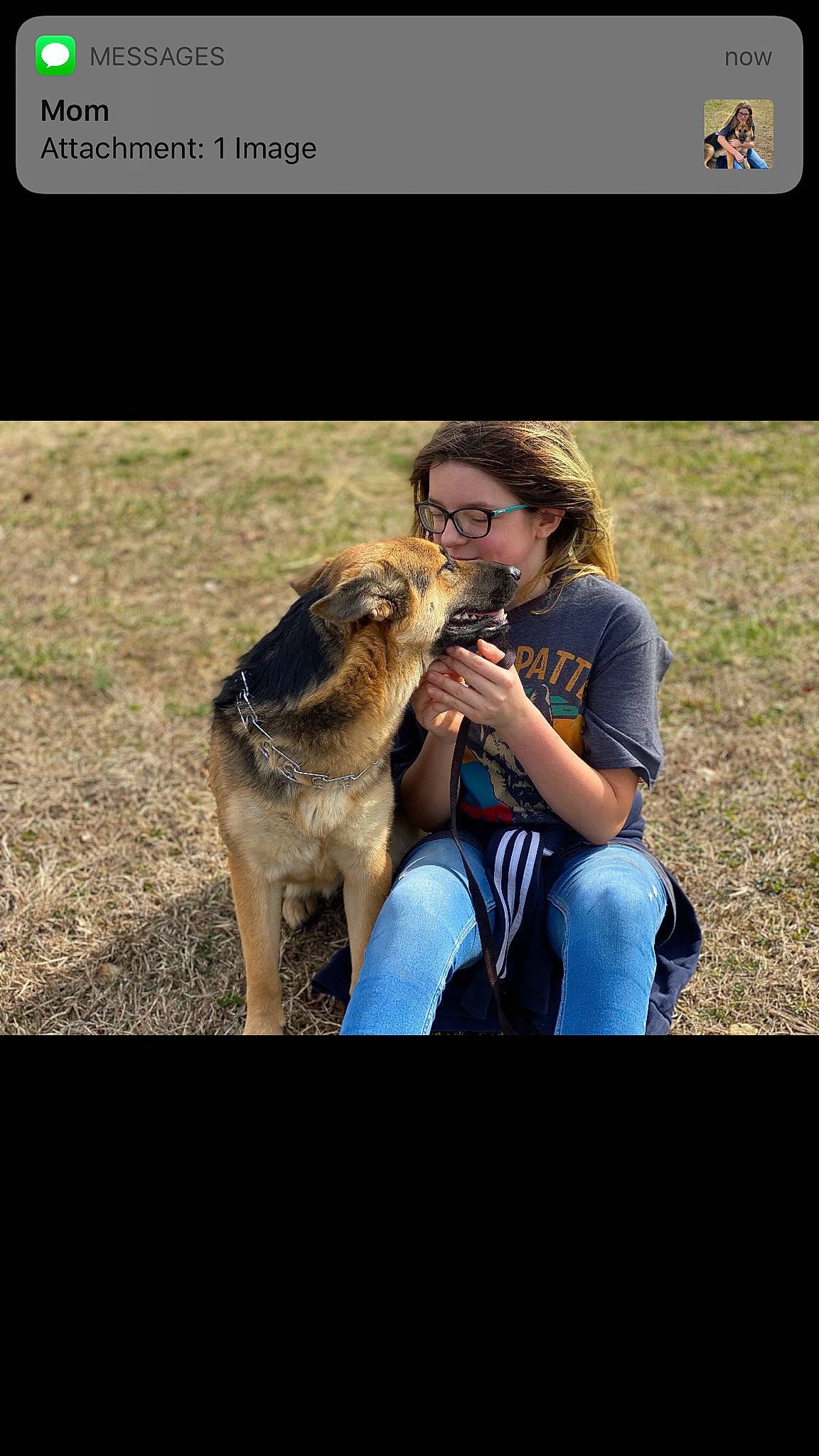 Josie joined the competition — help win amazing prizes! belgian_shepherd_malinois, canidae, carnivore, companion_dog, dog, dog_breed, german_shepherd_dog, guard_dog, kunming_wolfdog, mammal, obedience_training, photo_caption, photography, police_dog, vertebrate, working_dog