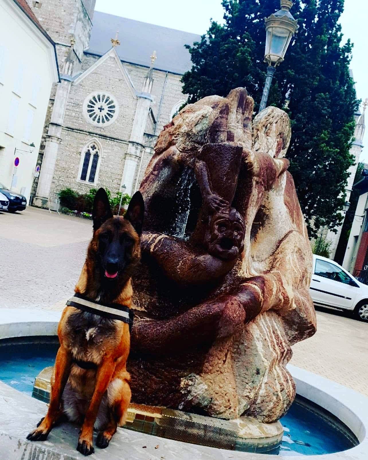 Emmy participe au concours pour gagner de l'argent avec cette photo : art, dog, dog_breed, fawn, fountain, fun, leisure, plant, road, sculpture, snout, statue, tire, tree, trunk, water, wheel, window, wood, working_animal