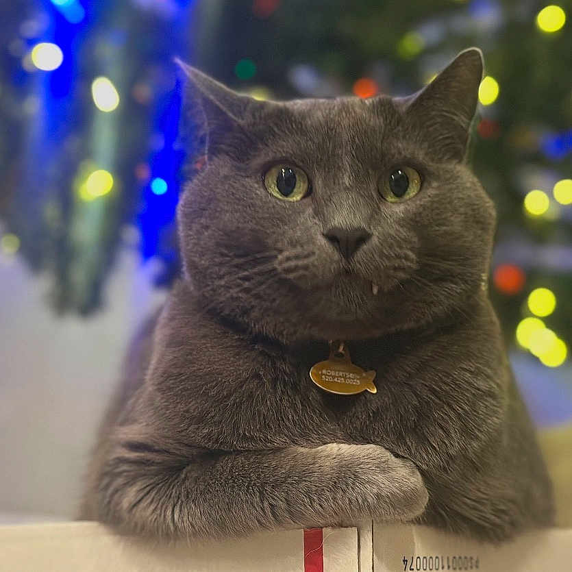 Max