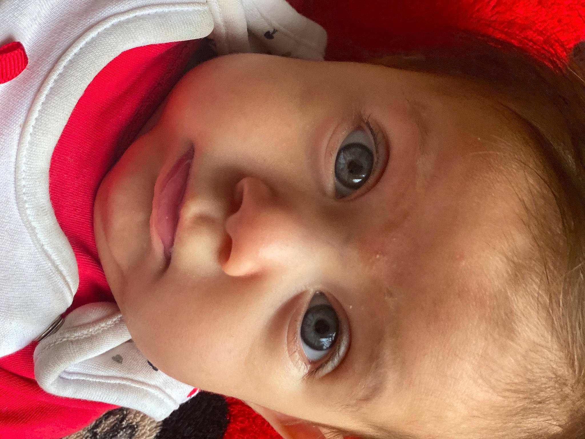 Lara participe au concours pour gagner de l'argent avec cette photo : cheek, chin, ear, eye, eyebrow, eyelash, face, facial_expression, forehead, head, human, human_body, iris, lip, mouth, neck, nose, organ, person, skin