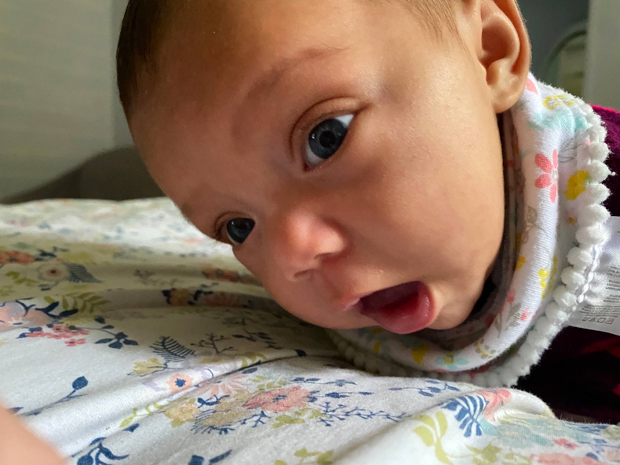 Luz Sofia is registered to the contest to win money with this photo: cheek, chin, ear, eye, eyebrow, eyelash, facial_expression, forehead, hair, hairstyle, happy, human, human_body, iris, lip, mouth, neck, nose, person, skin