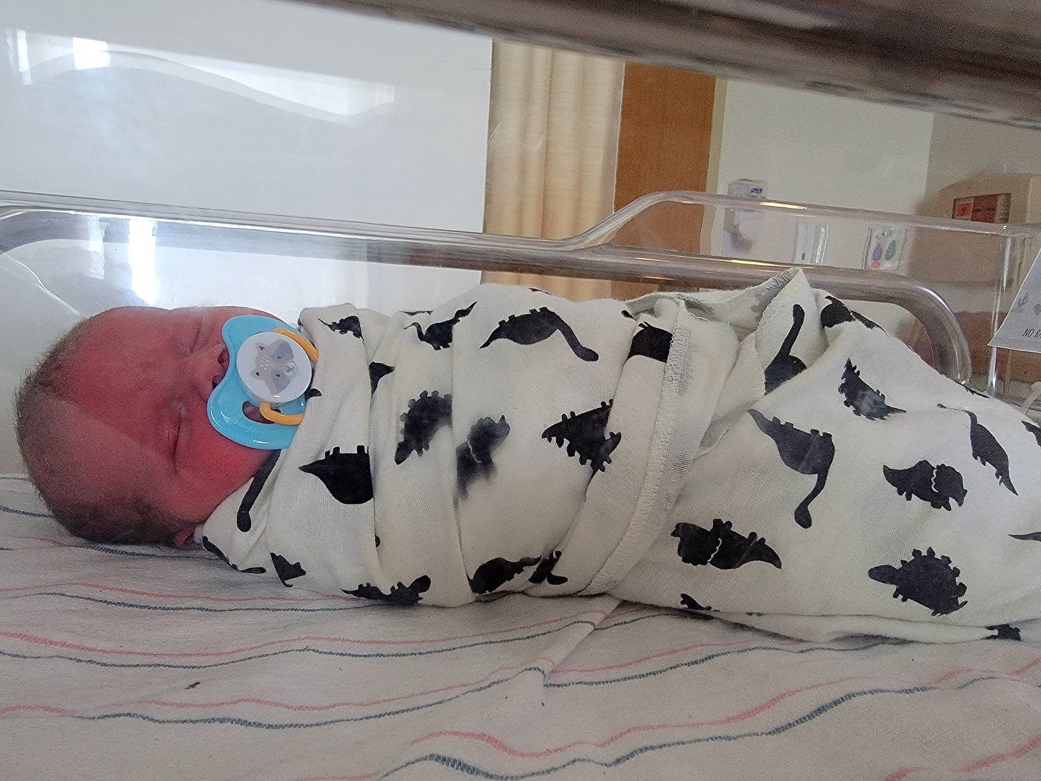 Jaxon is registered to the contest to win money with this photo: art, bedding, carmine, ceramic, comfort, couch, fashion_accessory, home_accessories, human_leg, linens, pattern, person, pillow, porcelain, rectangle, room, sleeve, studio_couch, stuffed_toy, throw_pillow