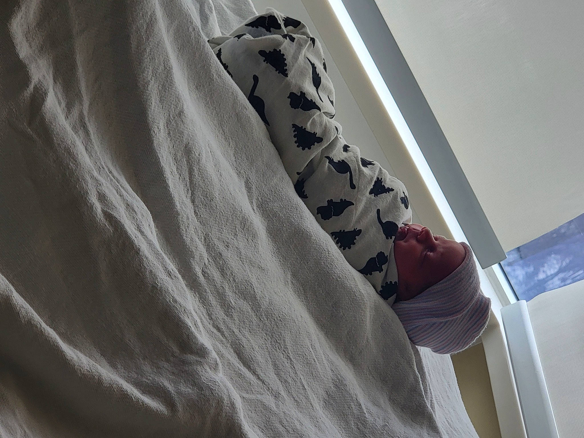 Jaxon joined the competition — help win amazing prizes! comfort, elbow, finger, foot, gesture, grey, human_leg, knee, leg, linens, outerwear, pattern, person, room, shoulder, sleeve, t_shirt, thigh, tints_and_shades, waist