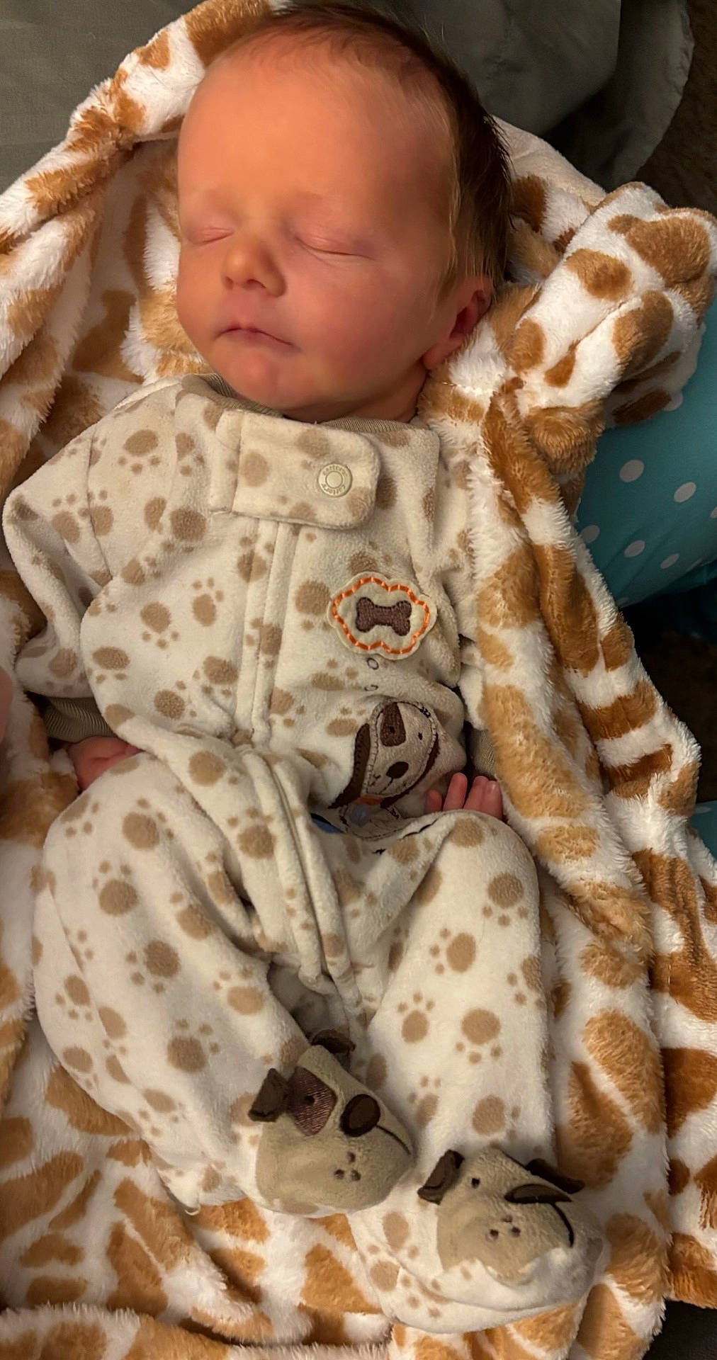 Gabriel joined the competition — help win amazing prizes! baby, blanket, child, clothing, cozy, cute, face, footwear, giraffe_pattern, indoors, infant, newborn, pajamas, peaceful, portrait, puppy_slippers, resting, sleeping, soft, wrapped