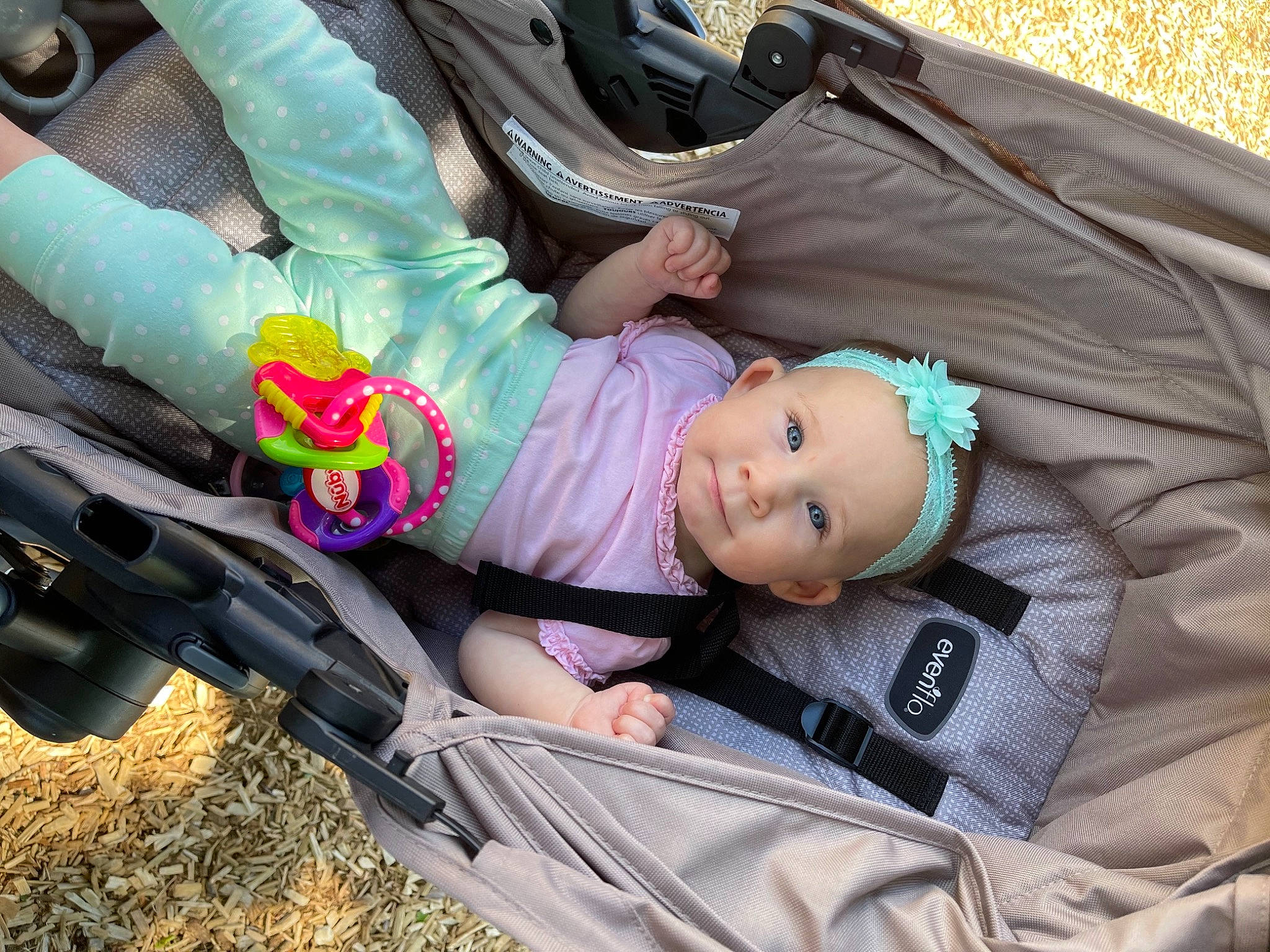 Clementine joined the competition — help win amazing prizes! auto_part, baby, baby_carriage, baby_products, baby_toddler_clothing, bag, car_seat, child, comfort, fun, grass, leisure, luggage_and_bags, person, plant, product, recreation, sitting, smile, toddler